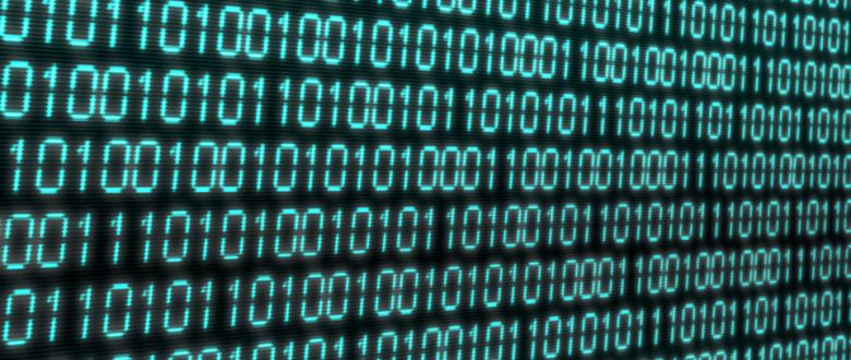 Everything You Ever Needed to Know About Data (All in One Document)